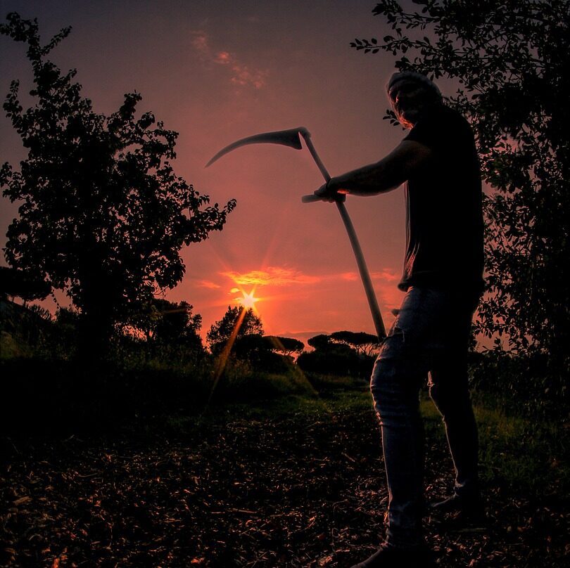 Mann mit Handsense vor Sonnenuntergang