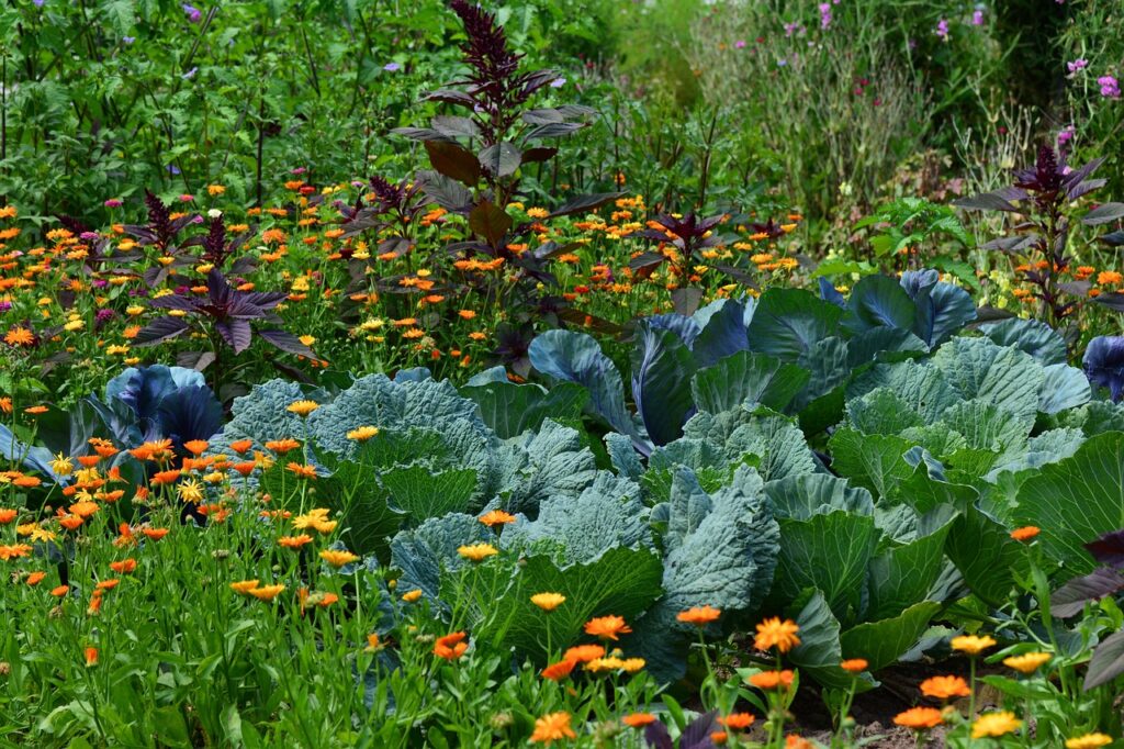 Ein bunter Permakulturgarten mit Gemüse und Blumen.