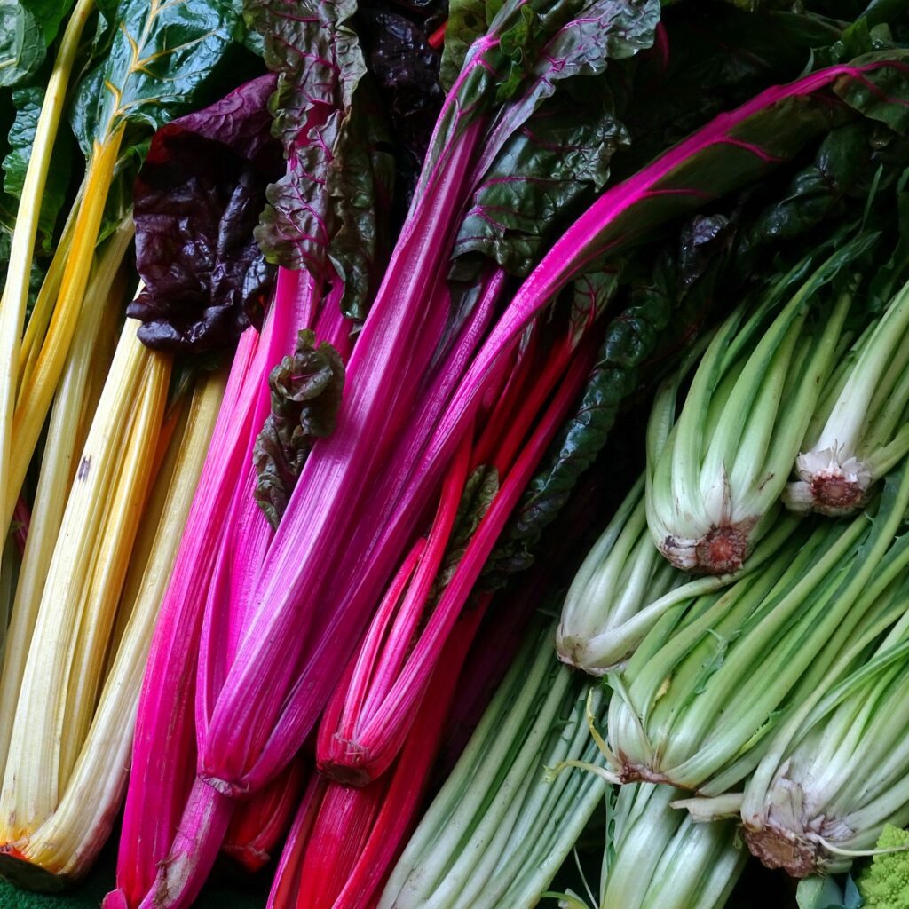 chard, vegetables, food, leaf vegetable, produce, organic, healthy, market, closeup, chard, chard, chard, chard, chard
