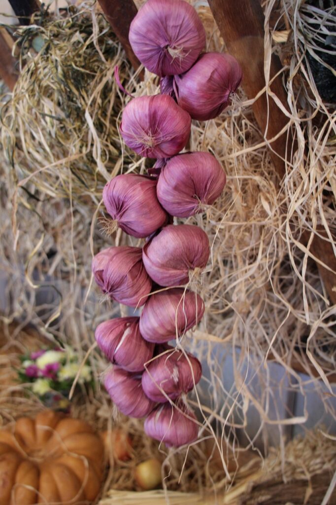 food, onion, garlic, clove, brown onion, onion, onion, onion, onion, onion, garlic, clove