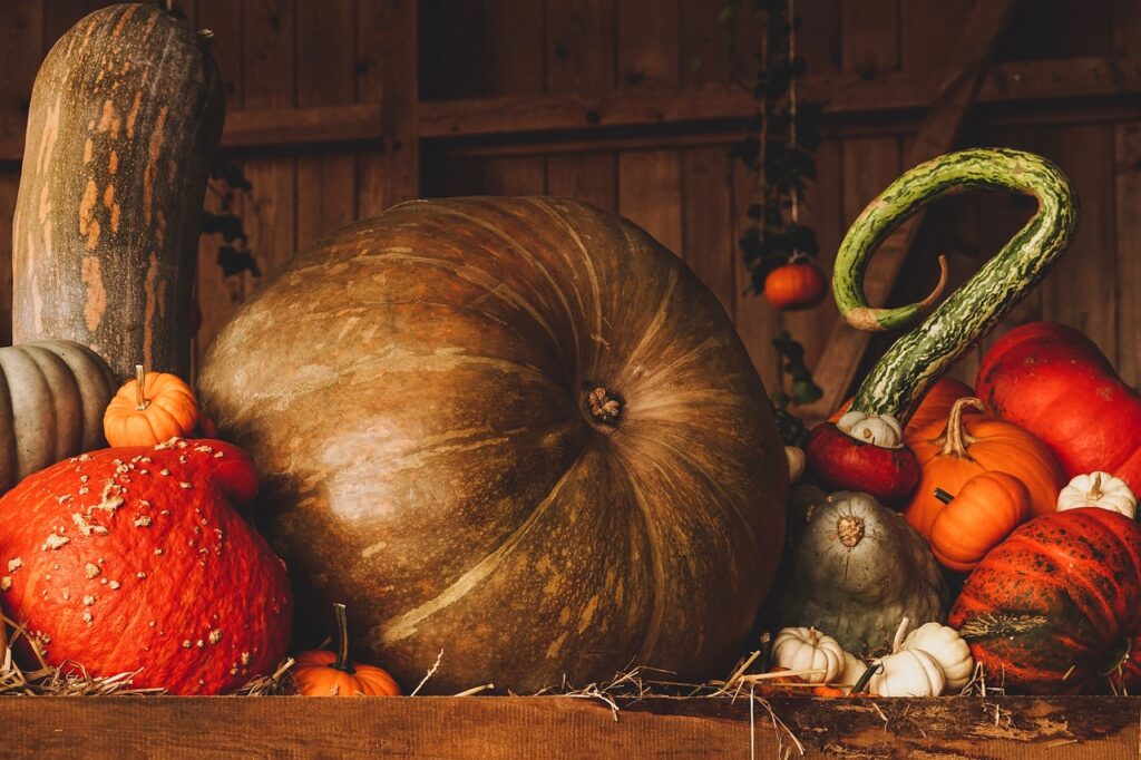 pumpkin, harvest, autumn, fall, season, pumpkin, pumpkin, harvest, autumn, autumn, autumn, autumn, fall, fall, fall, fall, fall