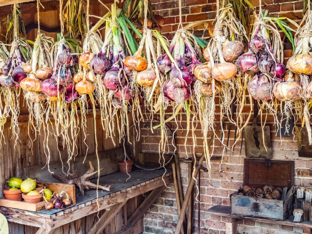 allium, onion, string, bulb, food, hang, hung, root, aromatic, drying, dry, healthy, ingredient, organic, raw, red, vegetable, vegetarian, agriculture, brown, closeup, cooking, fresh, garden, nature, brown onion