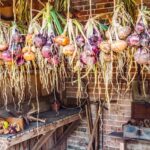 allium, onion, string, bulb, food, hang, hung, root, aromatic, drying, dry, healthy, ingredient, organic, raw, red, vegetable, vegetarian, agriculture, brown, closeup, cooking, fresh, garden, nature, brown onion